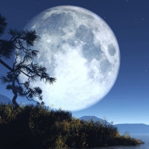 月亮诗句大全唯美