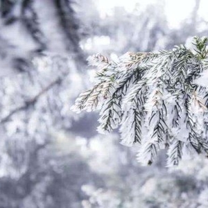 形容大雪美景的诗句，描写冬天下雪的古诗