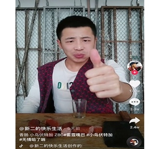 小鸟伏特加什么意思？网络用语小鸟伏特加什么梗？