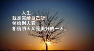 10句致自己简短励志的话，你若盛开，蝴蝶自来，你若精彩，天自安排 ...