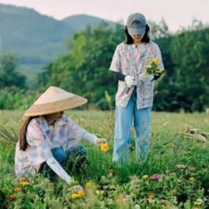 张子枫欧阳娜娜友情感动网友，欧阳娜娜张子枫向往的生活上热搜，张子枫欧阳娜娜友情句 ...