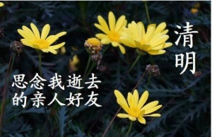 清明节伤痛句子，清明节缅怀亲人的句子，清明怀念亲人的语句 ...