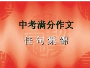 中考满分作文摘抄段落，十篇中考600字优秀作文，初中作文好段摘抄大全 ...