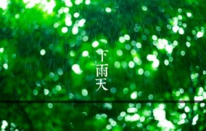 写雨声的诗词，写雨声的优美句子片段，雨淅淅沥沥的优美句子 ...