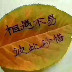 感恩相识珍惜相遇语句，一辈子友谊的感动句子，真正朋友的精辟句子 ...