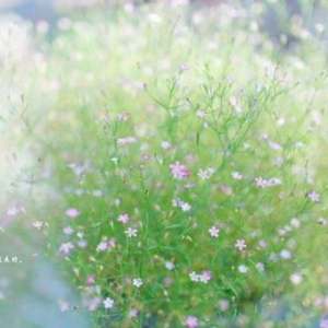 春天小清新治愈系句子：只要心是晴朗的，人生就没有雨天。 ...