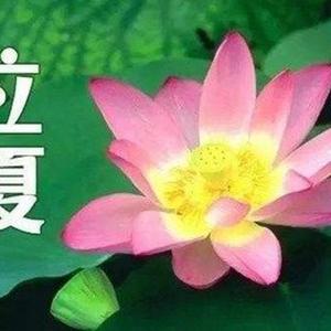 2022立夏祝福短信，简短的节气问候语句子