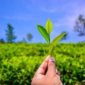 告诫自己该清醒的句子，献给迷茫的人的30句说说