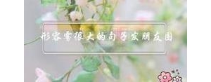 形容下雨天好大的雾句子,形容雨雾大的句子？