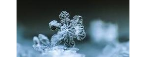 雪花飘的句子,雪花飘落的唯美句子？