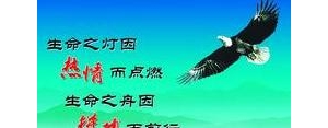 雄鹰的赞美句子,描写雄鹰的霸气的诗句？