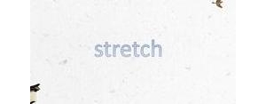 stretch的短语,伸懒腰的英语单词怎么写？