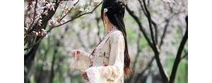 关于赞美汉服的文艺句子,汉服之美的句子？