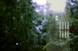 梅雨季文案短句干净治愈,描写四月梅雨季节的美好句子？