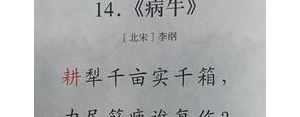 句子里有牛的诗词,十首含牛字的古诗？