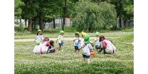 幼儿园最开心快乐的句子,幼儿园招生朋友圈句子？