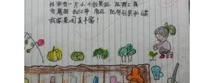 描写我在菜地玩耍的的句子,关于在菜地很快乐的句子？