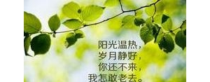 开心幸福的短句子,生活平淡幸福的唯美句子？