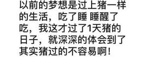 表示无聊的搞笑句子,上班没客人上班喝西北风的说说？