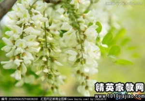 赞美茶的优美句子,咏茶四字句？