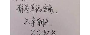 带静的八字短句,关于只争朝夕的八字短语？