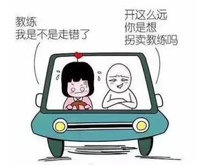 评价驾校教练的好句子,夸赞教练的句子有哪些？