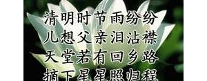 清明节想念老爸的句子,清明节怀念父亲的祈愿？