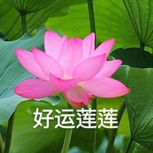 2021花的句子,2021荷花文案短句干净？