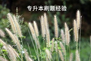 形容大草坪上小草摆动的句子,一阵风吹过小草轻轻的晃动的句子？ ...