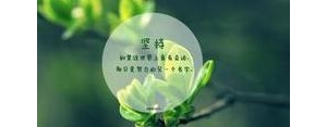 关于女生的特殊句子,强调女生特殊性的句子？