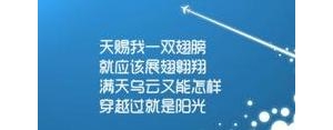 奋斗目标句子短句,大学生成长规划目标完成情况句子？