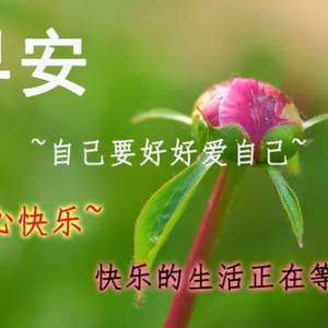 祝福的简短句子大全,美好祝愿唯美句子简短？