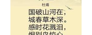 关于杜甫爱国的句子,杜甫春望爱国句子？