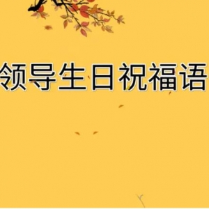 给领导的生日祝福语，祝老领导生日快乐的精句，生日短句8个字暖心领导 ...