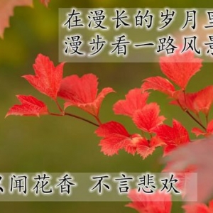 问好祝福的句子,祝福的句子唯美短句干净？