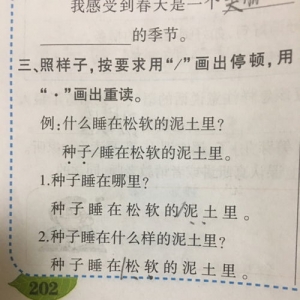 泥土短句,种子睡在松软的泥土里模仿句子？