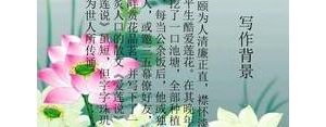 爱莲说中评价菊花和牡丹的句子,爱莲说中比起菊花隐逸牡丹富贵的句子 ...