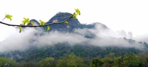 山居笔记余秋雨 句子摘抄,余秋雨-《山居笔记》精彩句子摘编 ...