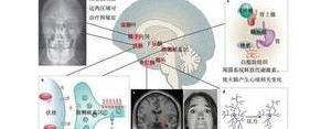 抑郁症治愈系短句,抑郁症自我救赎的句子？