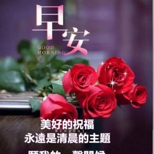 清晨暖心的免打字早安问候祝福语表情图片，最美早安祝福简单短信