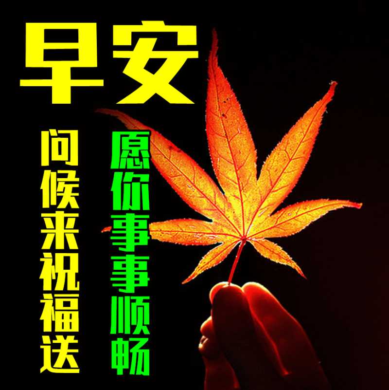 短信祝你早上好，愿你微笑今天，快乐永远