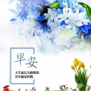 最新温馨祝福励志问候短信句子 ，最美正能量阳光问候句子带图