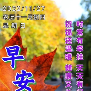 11月27日周日暖心早安祝福图片带字 温馨的早安问候语群发祝福短信