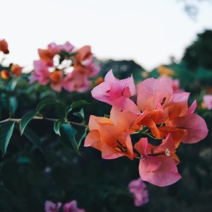 清空自己（好文）