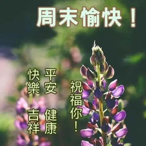 早晨安好：一条简单的短信能够祝福你一切都好，早安