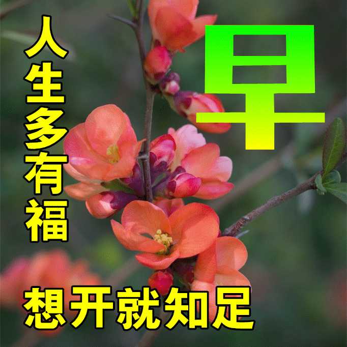 2月6日春日早安问候朋友暖心句子，特别漂亮精美早安动图