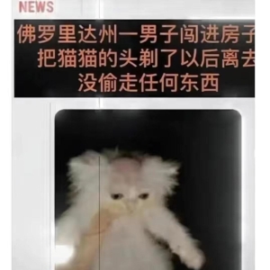 搞笑图片幽默段子笑话：男子入室不为抢劫，只为给猫剃头