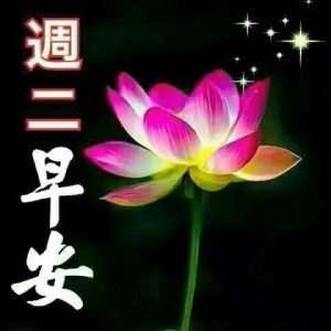 周二唯美微信群发早安祝福短信送朋友 3月最新版早安问候祝福语