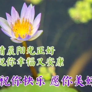 特别漂亮好看早安正能量祝福最新早上好问候祝福语短信