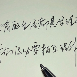 文摘——手写经典语录，练字静心